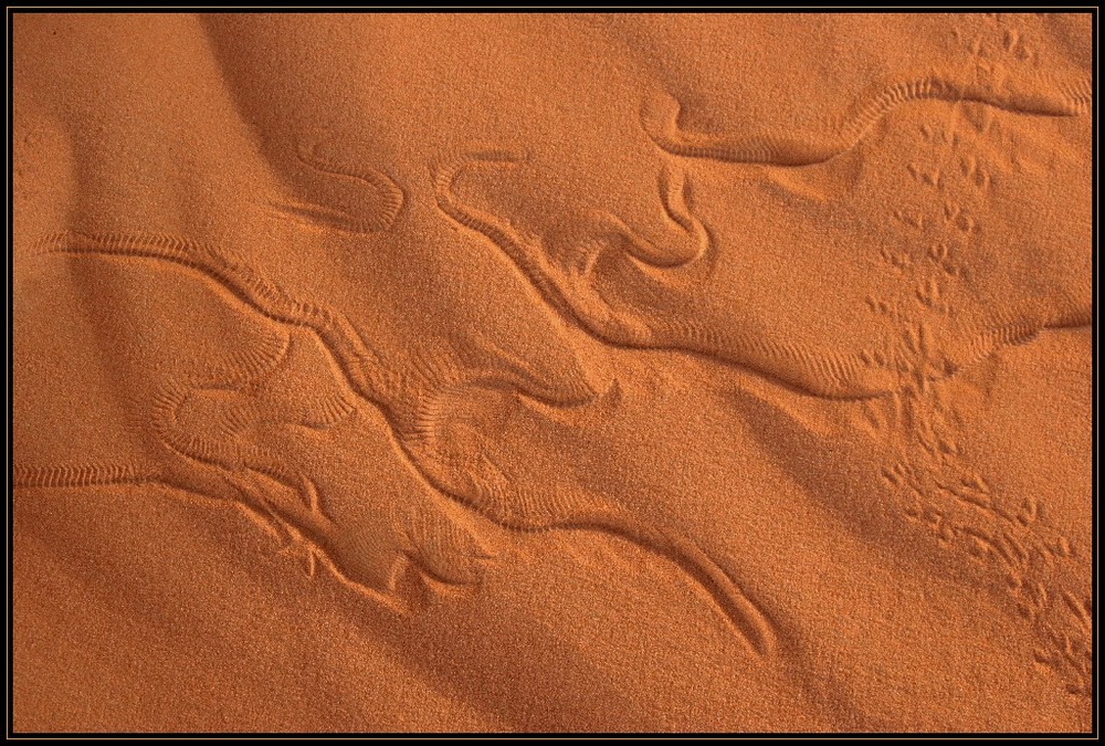 Sandprints