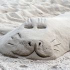 Sandrobbe