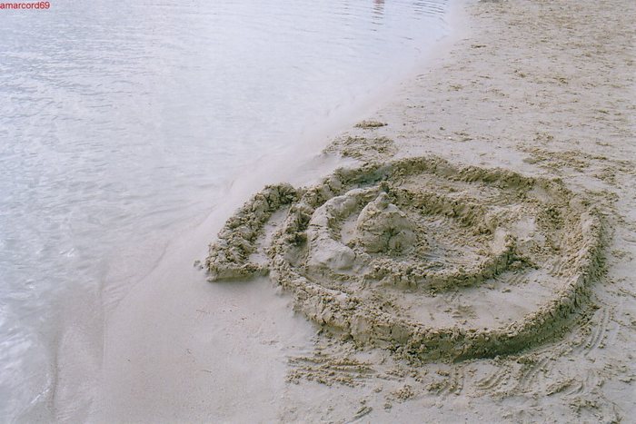 sand's castle