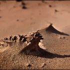 Sandskulptur 2