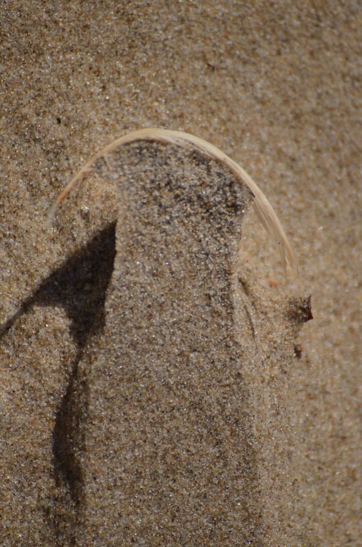 Sandskulptur 2