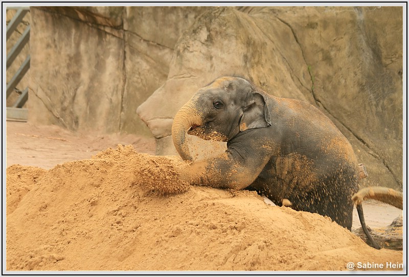 Sandspaß Teil 2