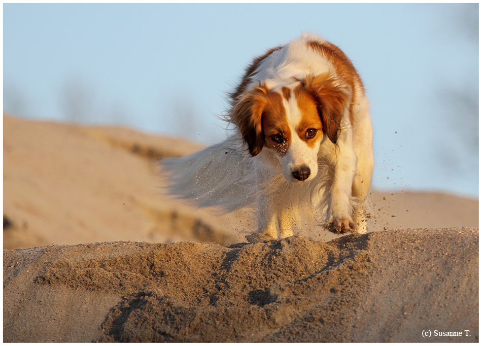 Sandspiel