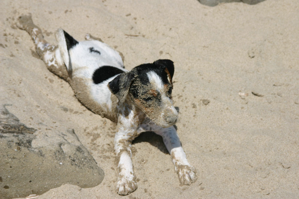 sandspiele