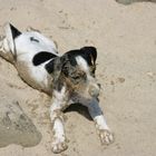 sandspiele