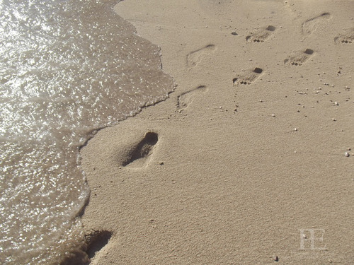 Sandspur am Meer