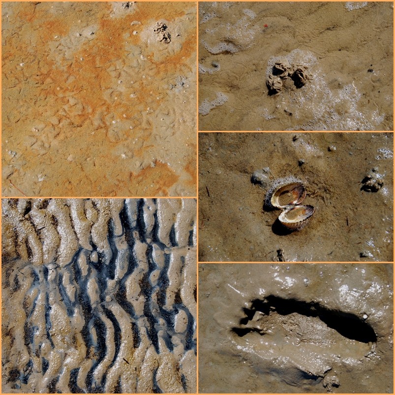 Sandspuren auf Sylt