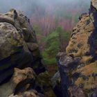 Sandstein im Nebel