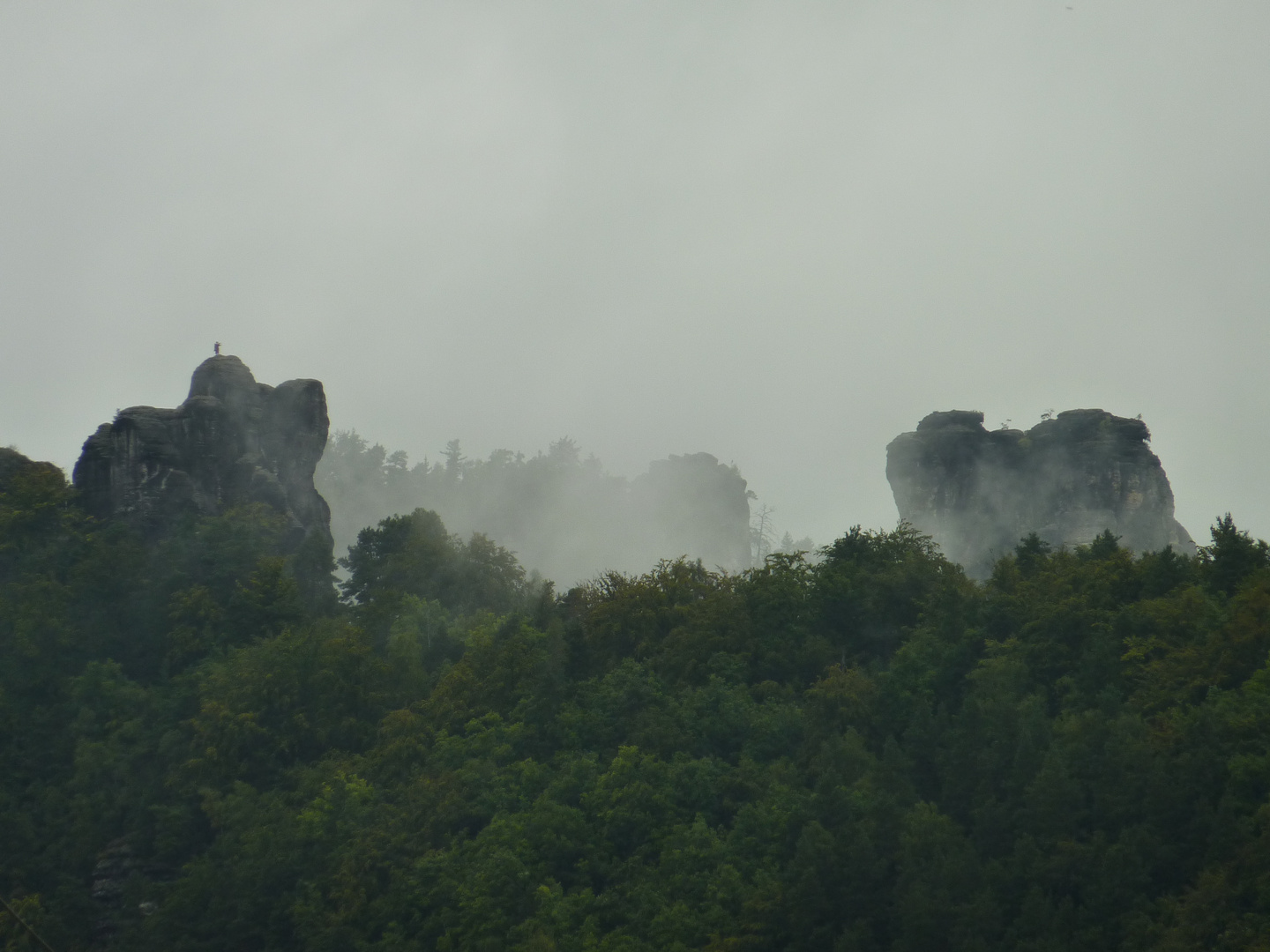 Sandstein im Nebel