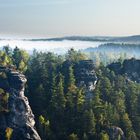 Sandstein im Nebel