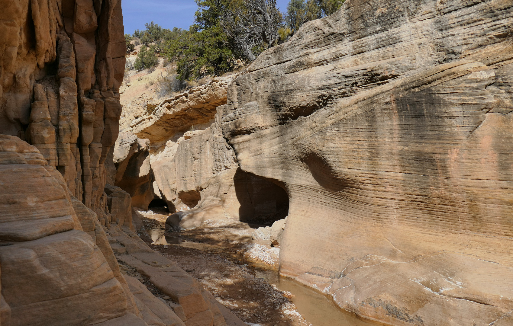 Sandstein im Willis Creek 