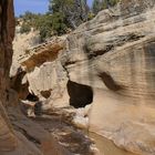 Sandstein im Willis Creek 