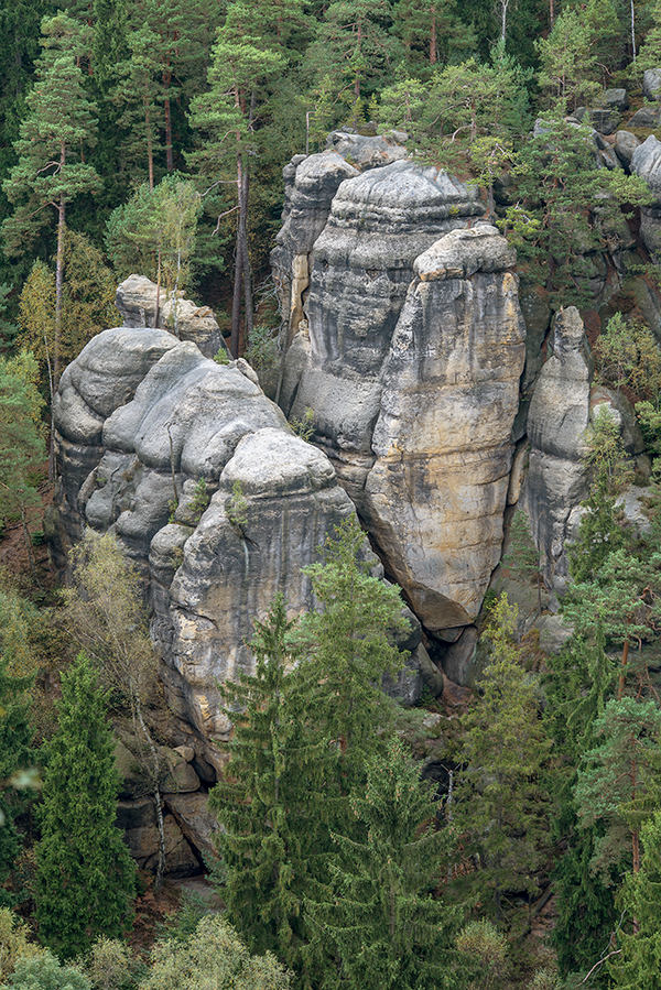 Sandsteine am Oybin