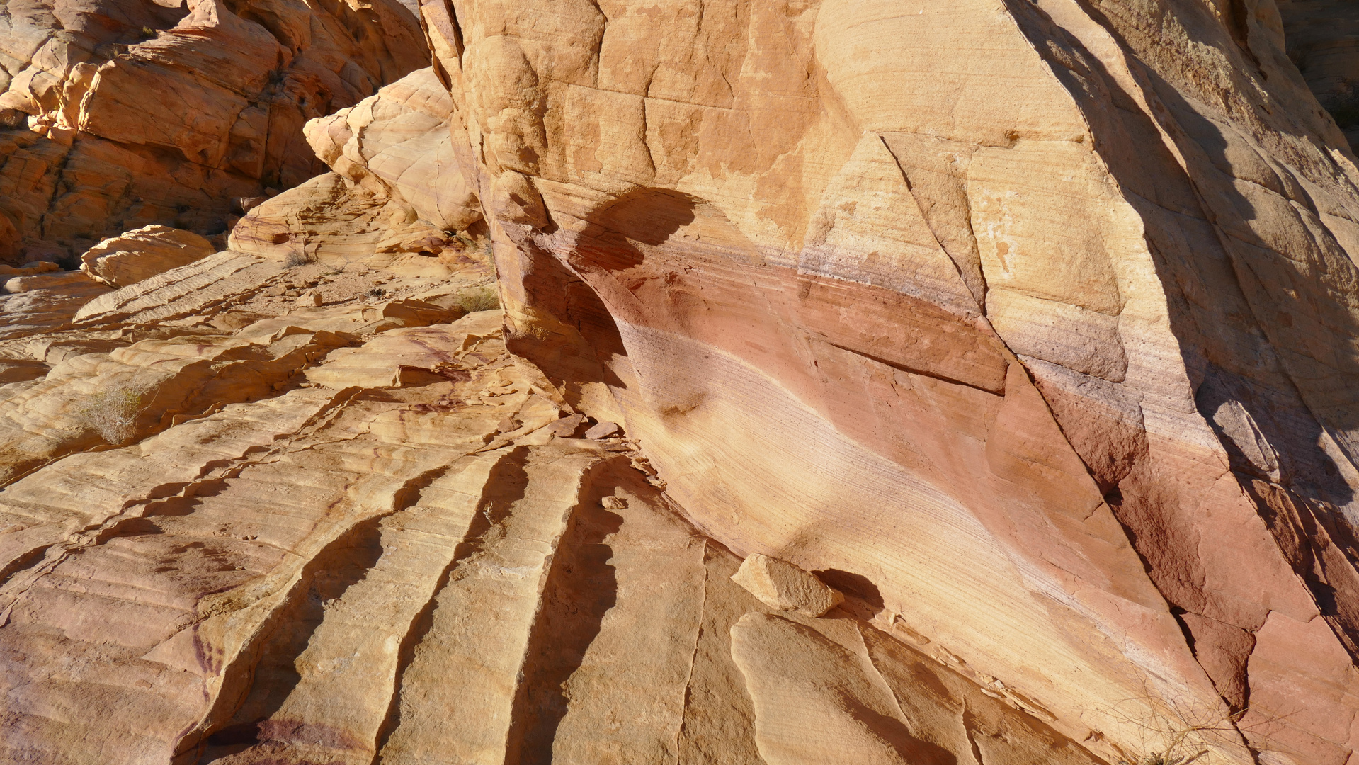 Sandsteinfarben im Valley of Fire