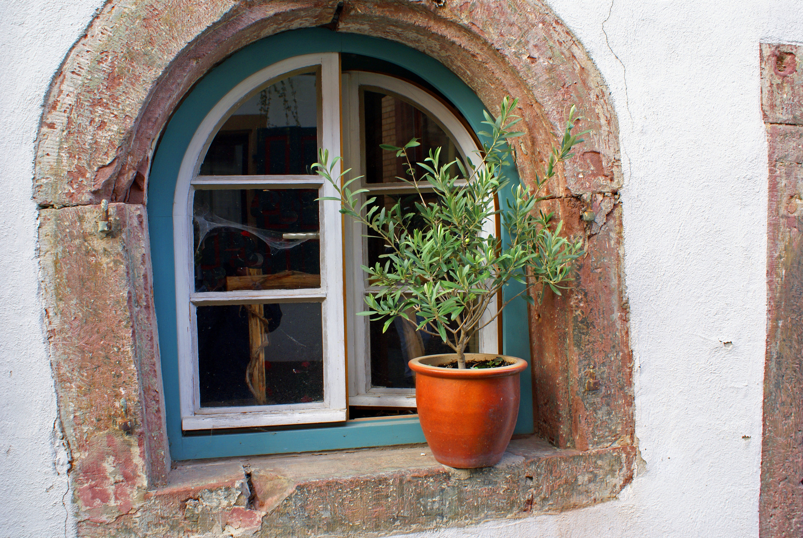 Sandsteinfenster mit Olive