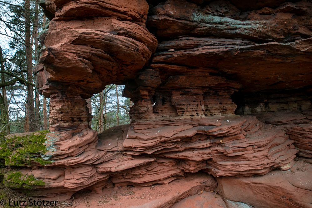 Sandsteinformation bei Dimbach im Pfälzerwald Foto & Bild world, wald