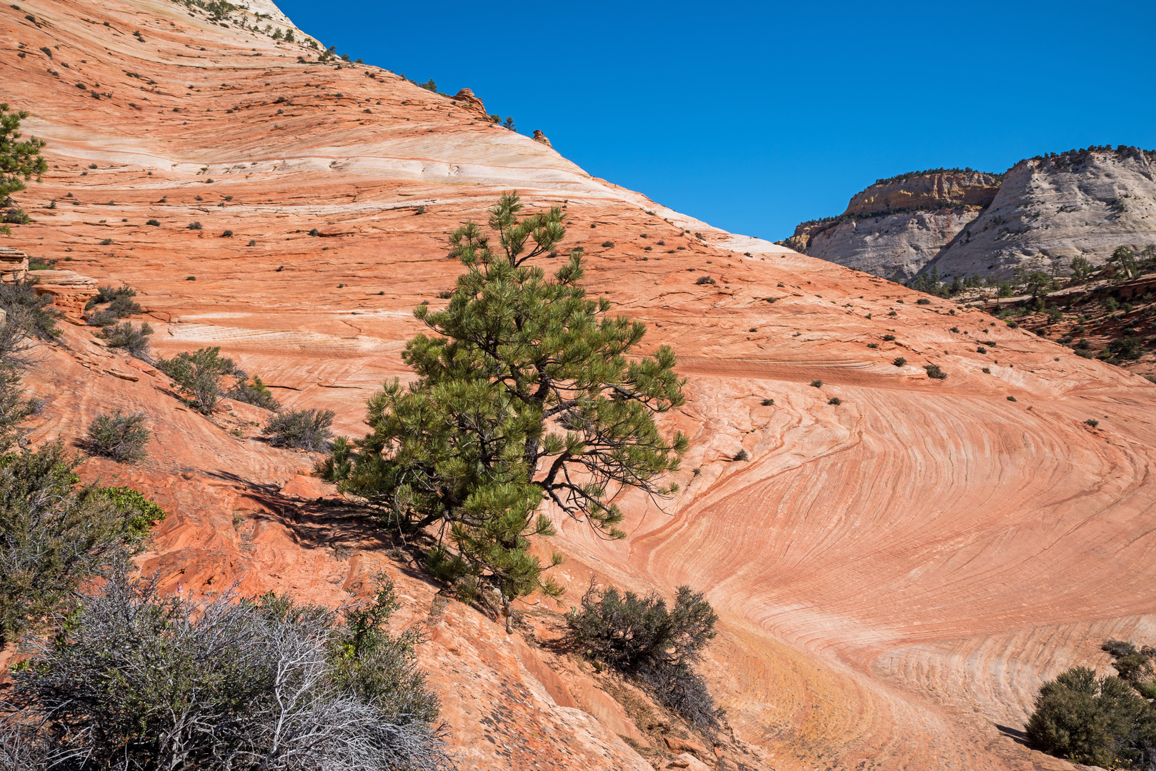 Sandsteinparadis Zion-East