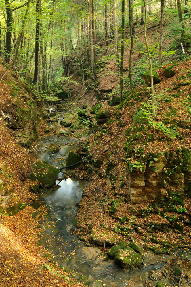 Sandsteinschlüchte