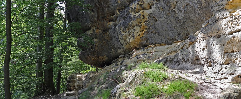 Sandsteinwände wie wir sie lieben im Elbsandsteingebirge