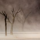 sandstorm at deadvlei