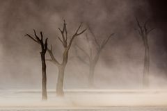 sandstorm at deadvlei