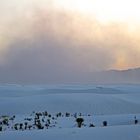 Sandstorm at sunset