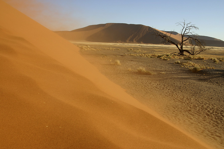 Sandstorm