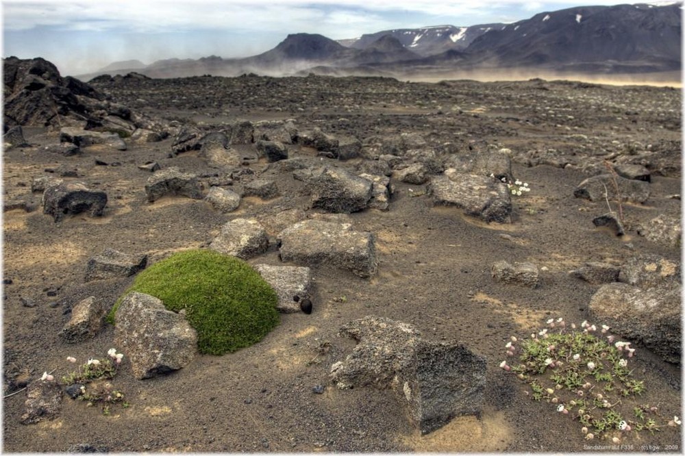 * sandstorm * . . Iceland 05