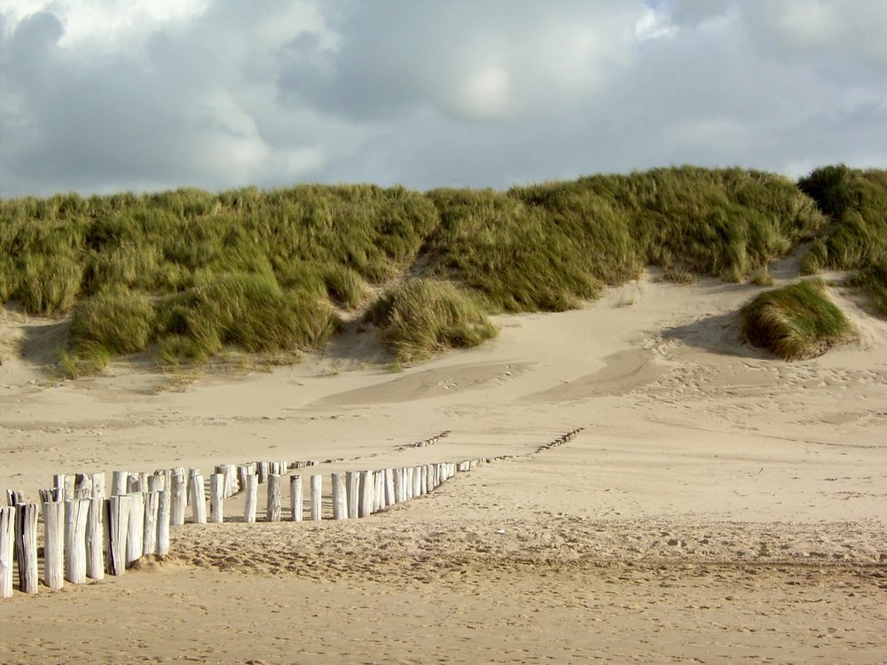 Sandstrand Holland