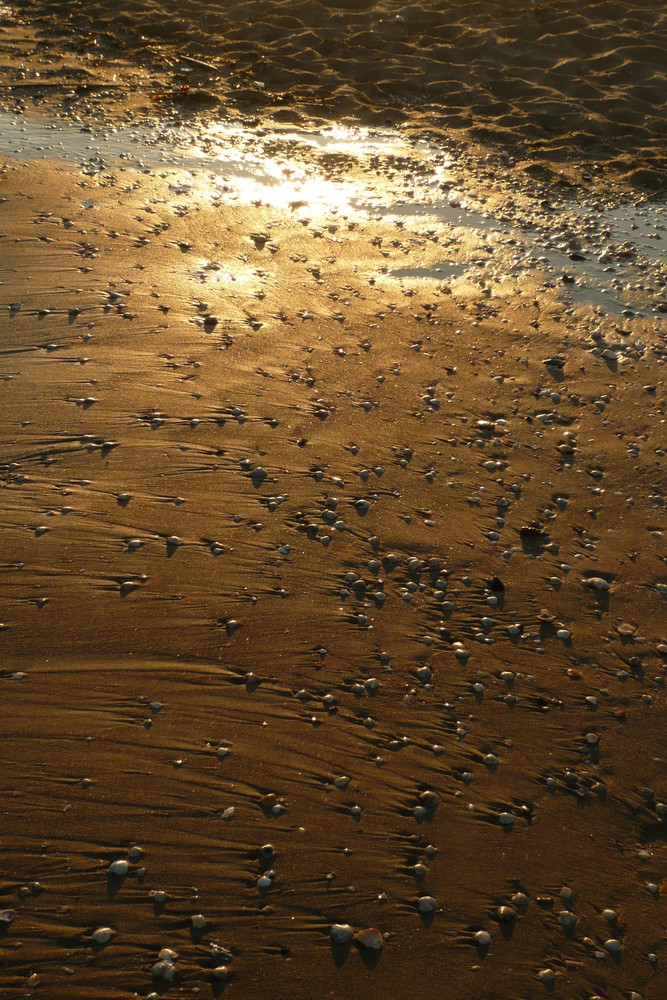 Sandstrand im Sonnenuntergagn