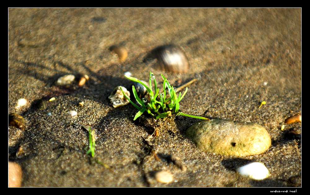 sandstrand insel