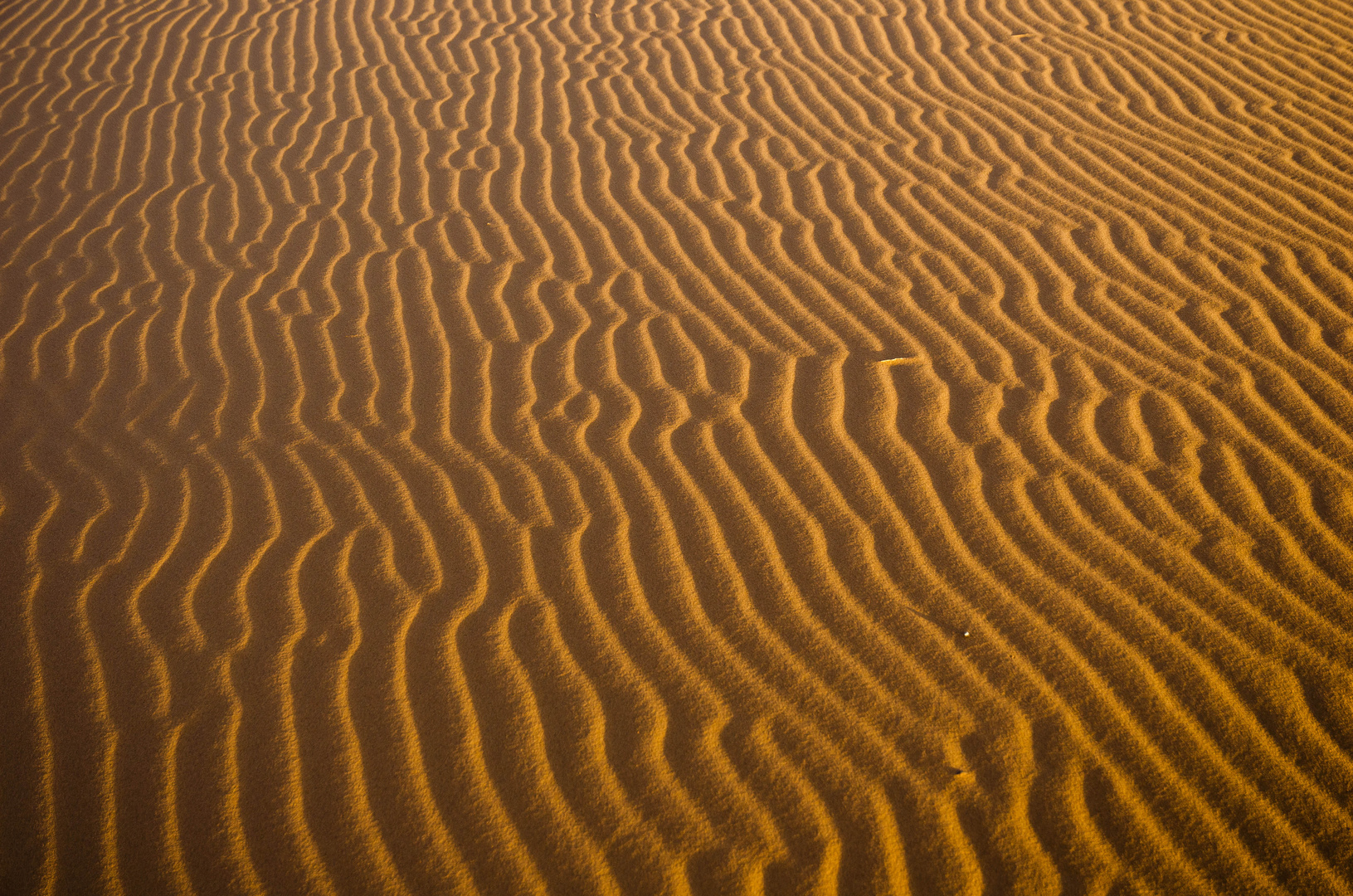 Sandstrukturen