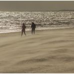 Sandsturm an der Nordsee...!  (2. der Sandsturm-Serie)