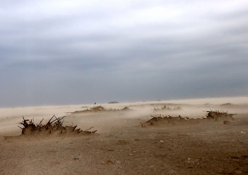 Sandsturm an der Nordsee