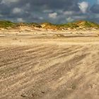 Sandsturm auf Amrum