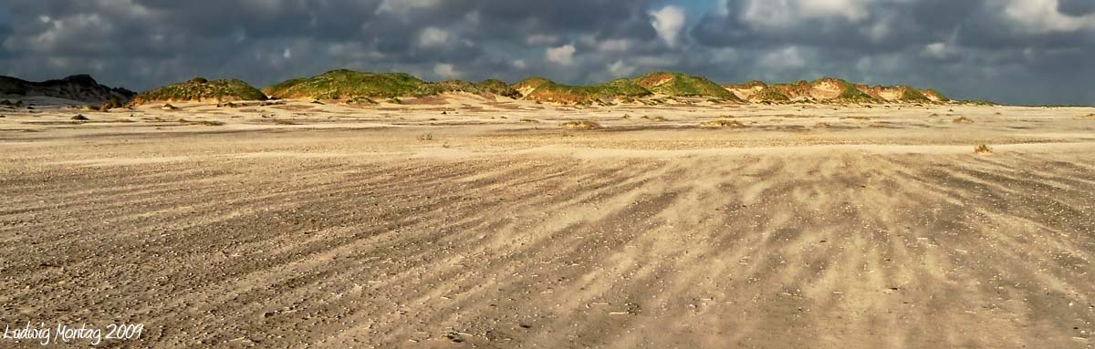 Sandsturm auf Amrum