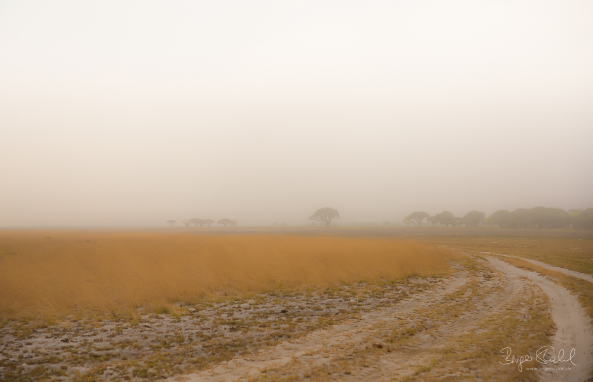 Sandsturm auf den Liuwa Plains