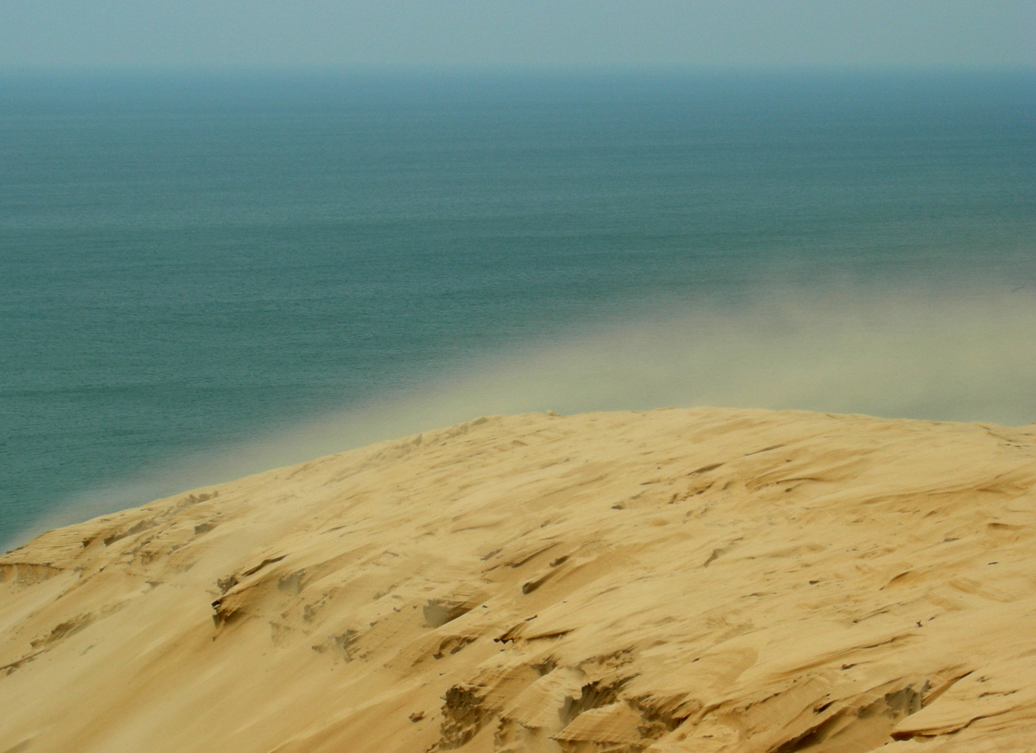 Sandsturm auf der Rubjerg Knude ; September 2011 .