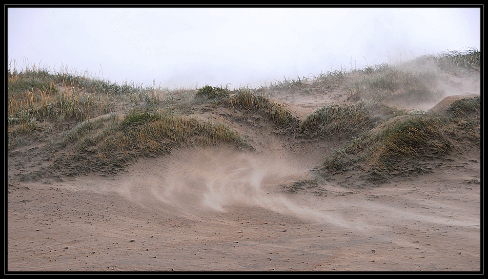 Sandsturm,