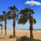 Sandsturm fegt über den Strand