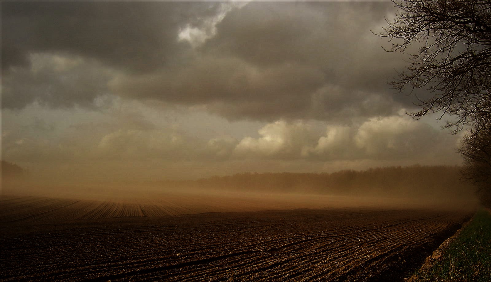 Sandsturm I