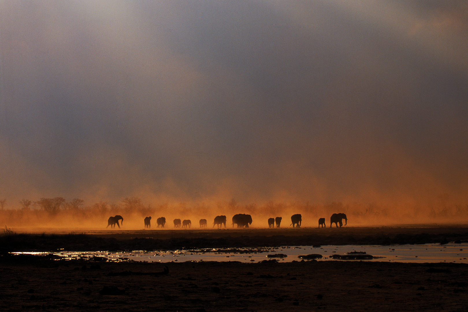 Sandsturm im Nationalpark