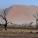 Sandsturm im Sossusvlei