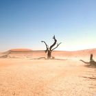 Sandsturm im Sossusvlei