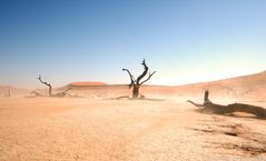 Sandsturm im Sossusvlei