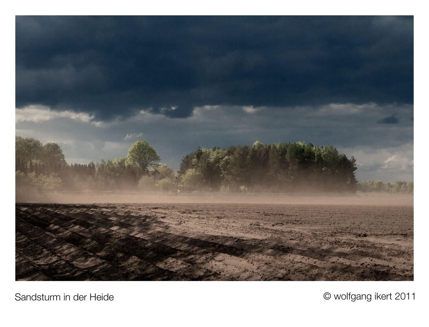 Sandsturm in der Heide