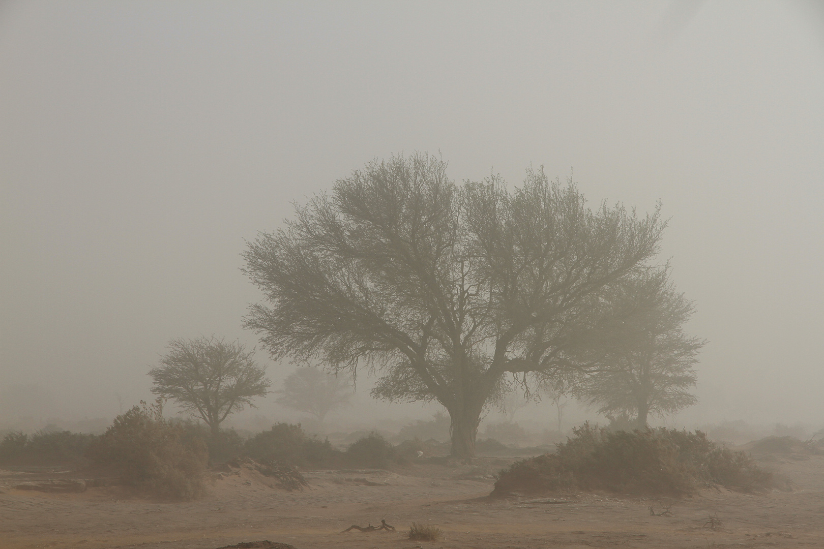 Sandsturm in der Kalahari