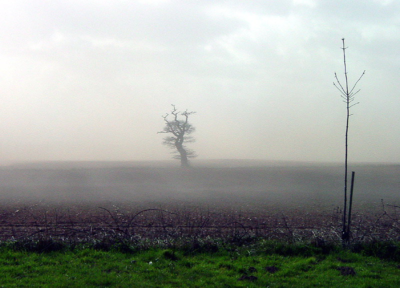 Sandsturm in England