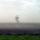 Sandsturm in England