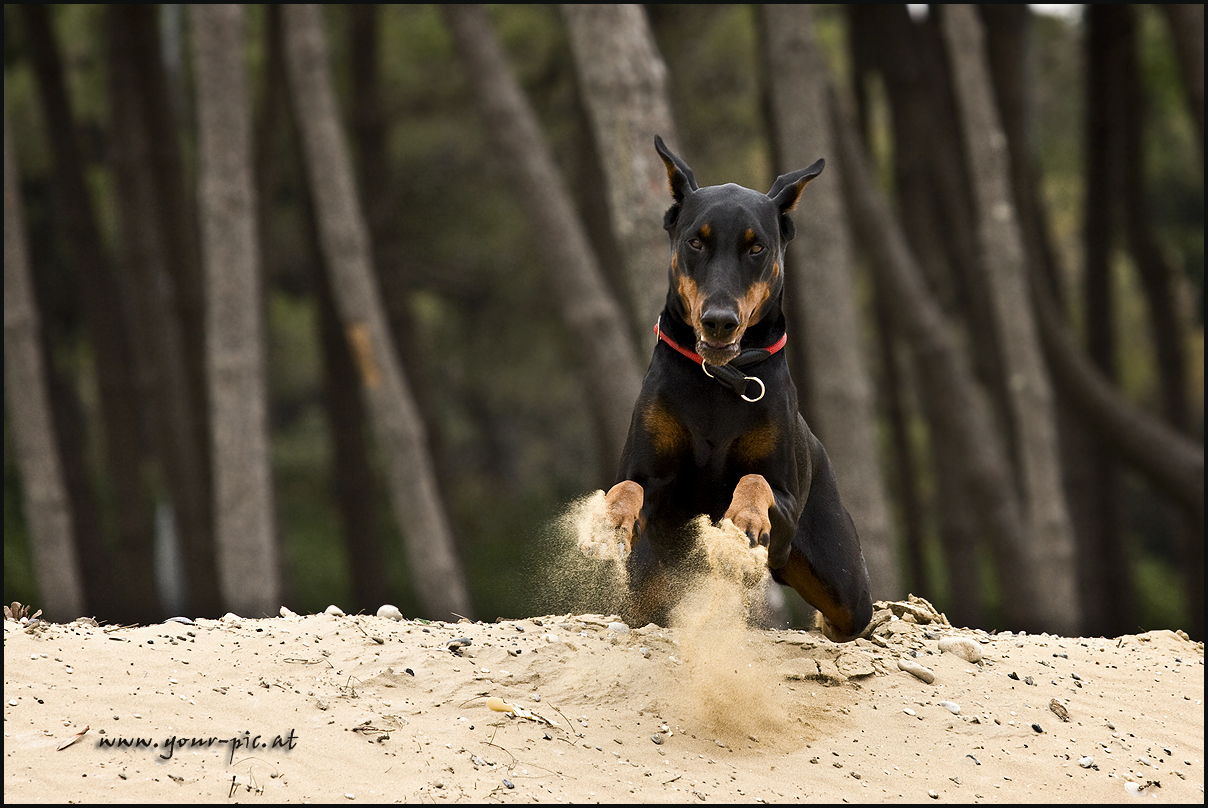 Sandsturm in Lignano